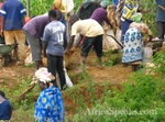 Villagers collecting soil to process to get gold