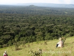 One of the few pieces of virgin forest in Kenya