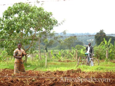 Workers prepare an agricultural field