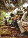 Working in the Tree Nursery