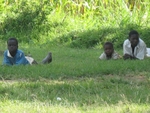 A common sight - people lying in the grass