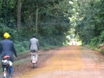 A typical unpaved road, this one in the Kakamega Forest