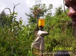 Village girl with water bucket